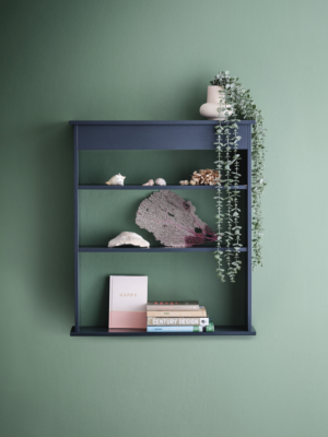 Bruton shelf