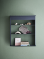 Bruton shelf