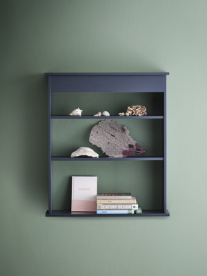 Brutonshelf.png